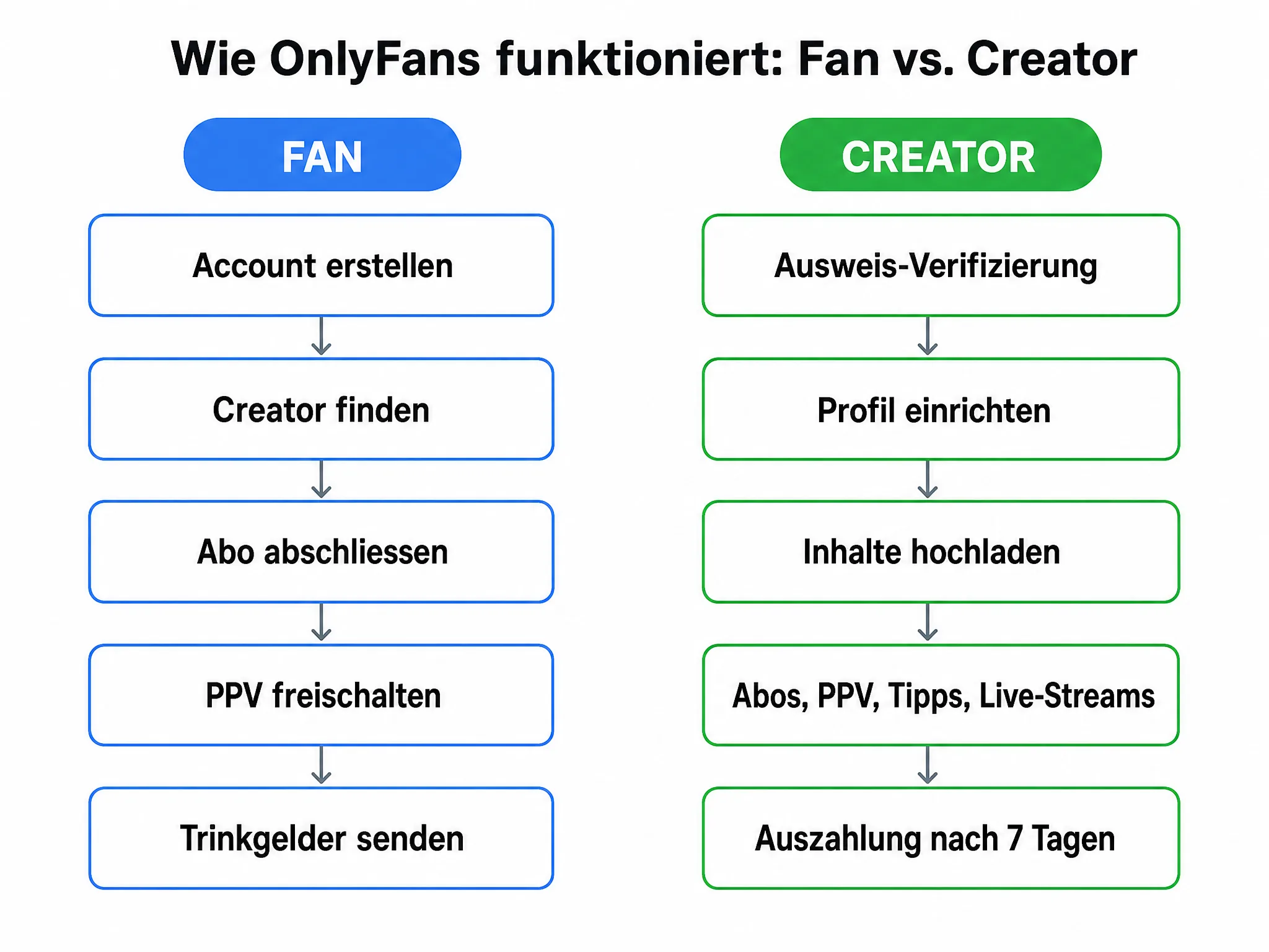 Prozessdiagramm: Wie OnlyFans für Fans und Creator funktioniert, fünf Schritte pro Seite, von der Account-Erstellung bis zum Trinkgeld bzw. zur Auszahlung